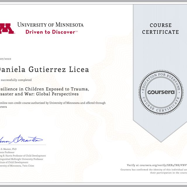 Ampliar imagen: certificate 4