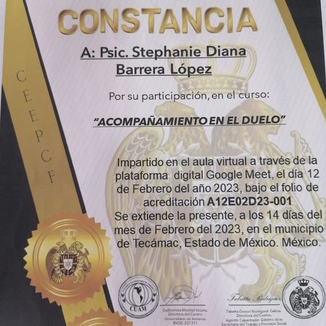 Ampliar imagen: certificate 12