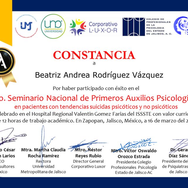Ampliar imagen: certificate 3