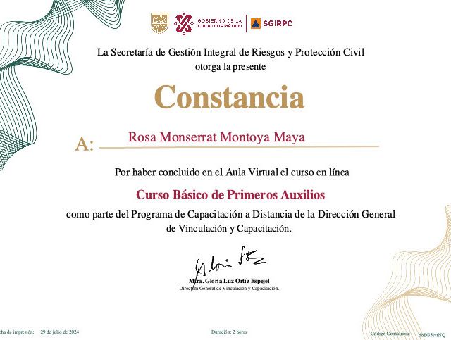 Ampliar imagen: certificate 7
