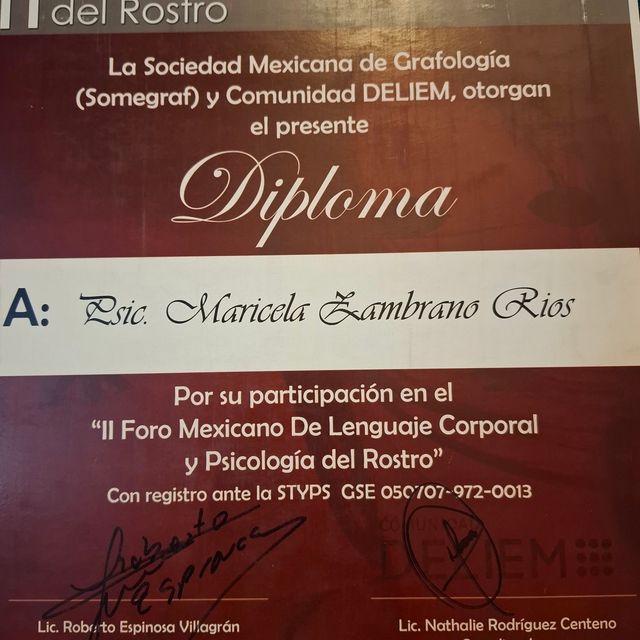 Ampliar imagen: certificate 11