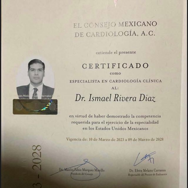 Ampliar imagen: certificate 9