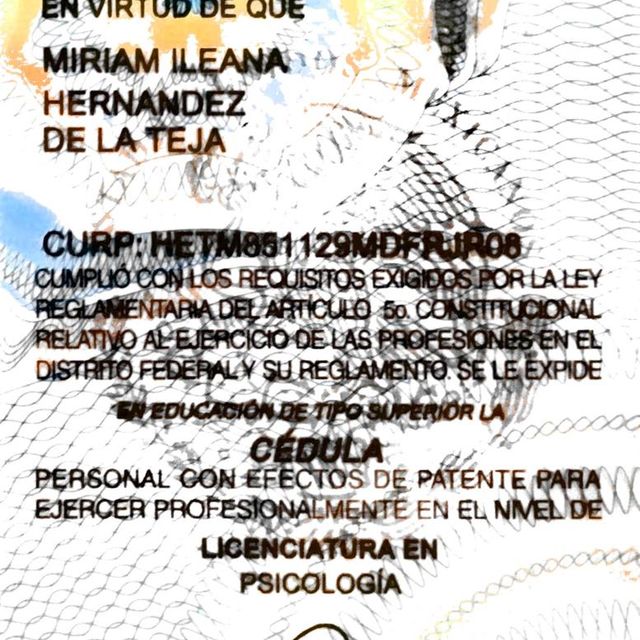 Ampliar imagen: certificate 2