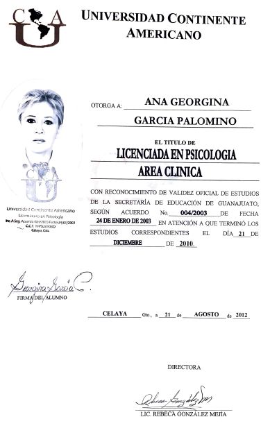 Ampliar imagen: certificate 2