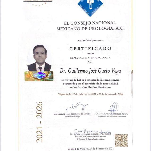 Ampliar imagen: certificate 4