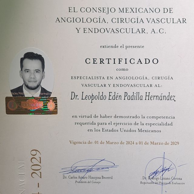 Ampliar imagen: certificate 1
