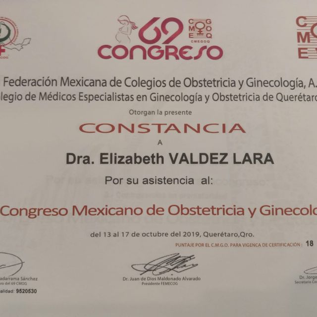 Ampliar imagen: certificate 11