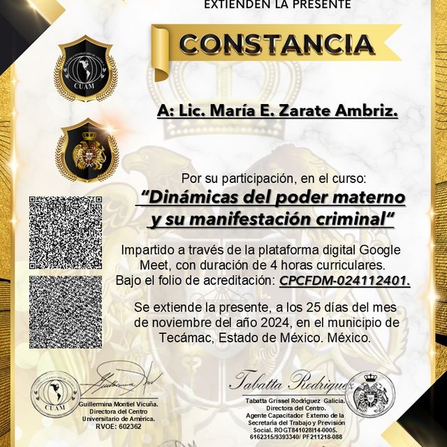 Ampliar imagen: certificate 2