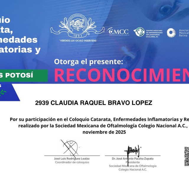 Ampliar imagen: certificate 3