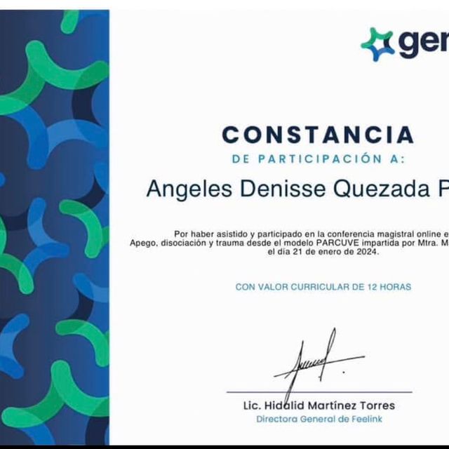 Ampliar imagen: certificate 16