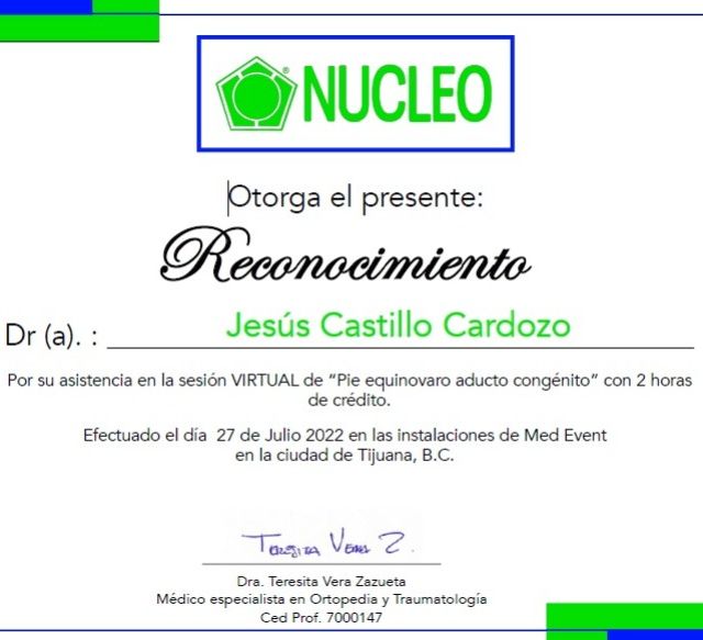 Ampliar imagen: certificate 4