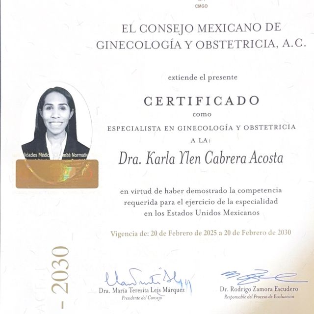Ampliar imagen: certificate 1