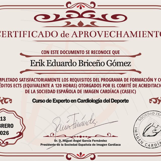 Ampliar imagen: certificate 6