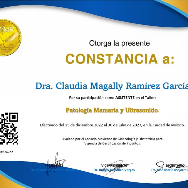 Ampliar imagen: certificate 11