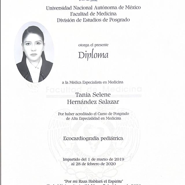 Ampliar imagen: certificate 3