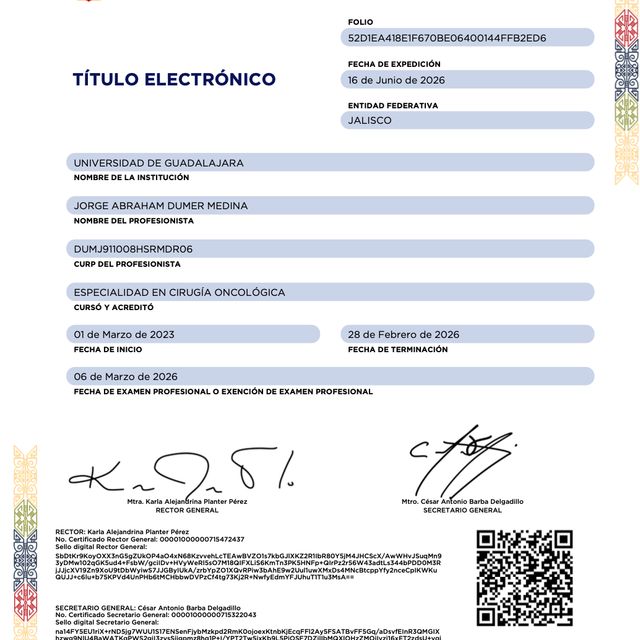 Ampliar imagen: certificate 3