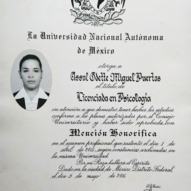 Ampliar imagen: certificate 2