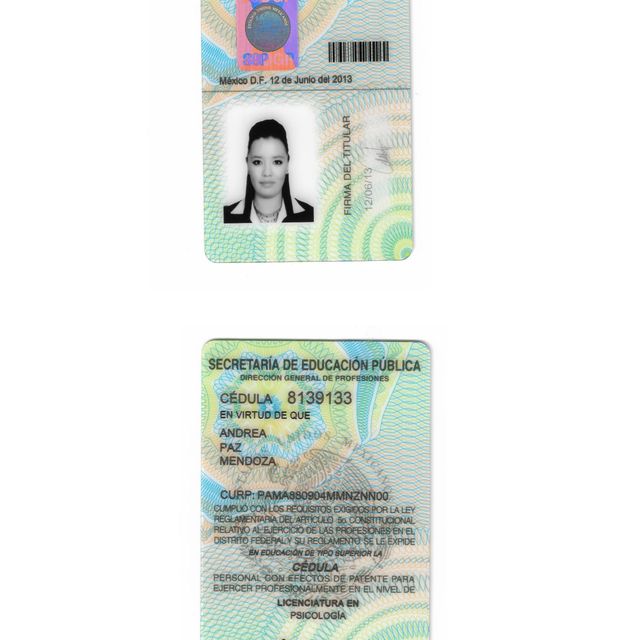 Ampliar imagen: certificate 2