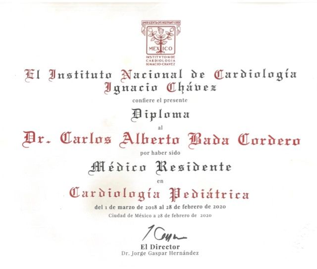 Ampliar imagen: certificate 2
