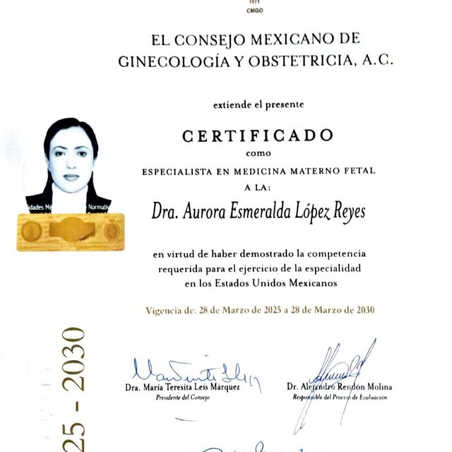 Ampliar imagen: certificate 2