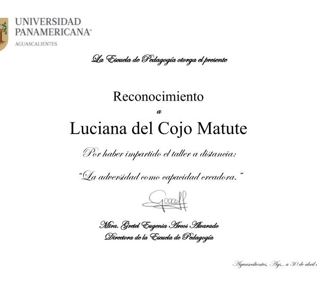 Ampliar imagen: certificate 3