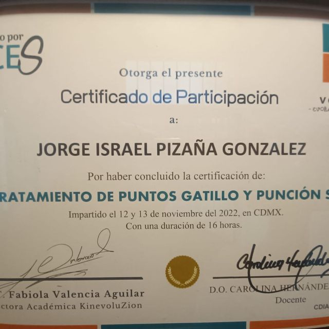 Ampliar imagen: certificate 3