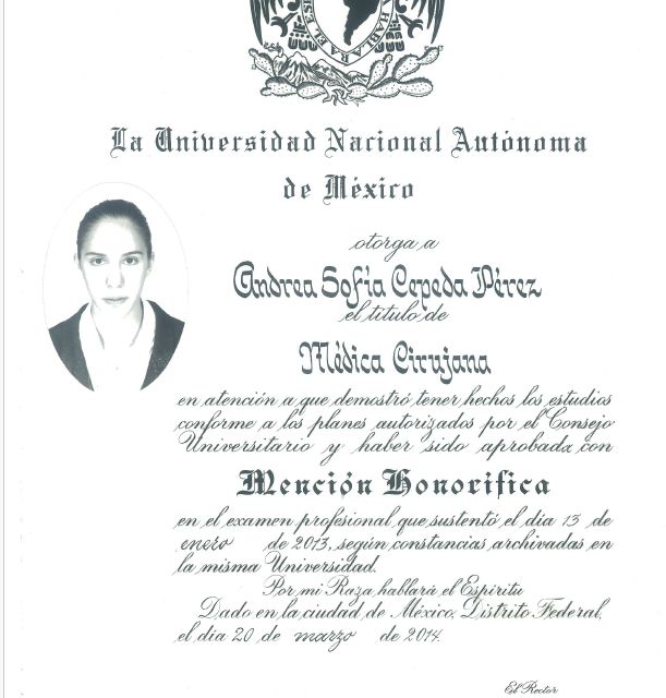 Ampliar imagen: certificate 3