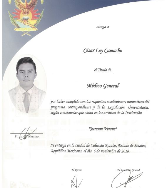 Ampliar imagen: certificate 1