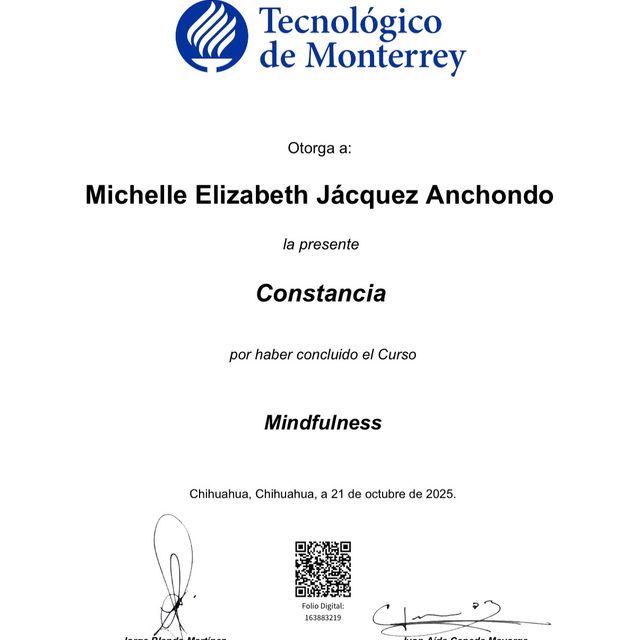 Ampliar imagen: certificate 3