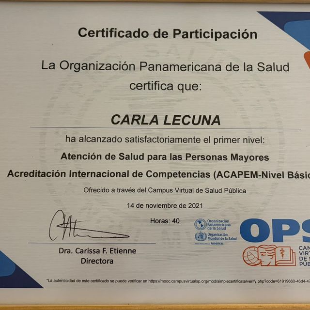 Ampliar imagen: certificate 3