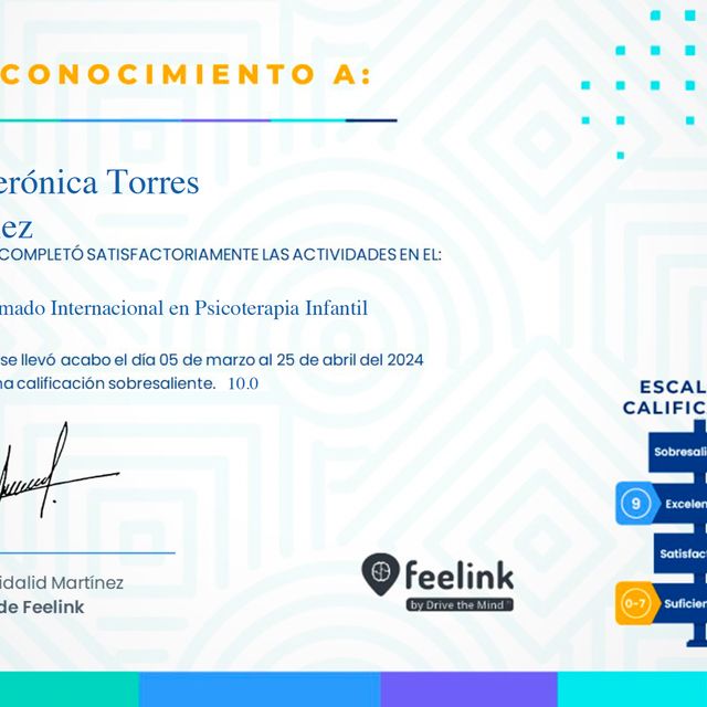 Ampliar imagen: certificate 1