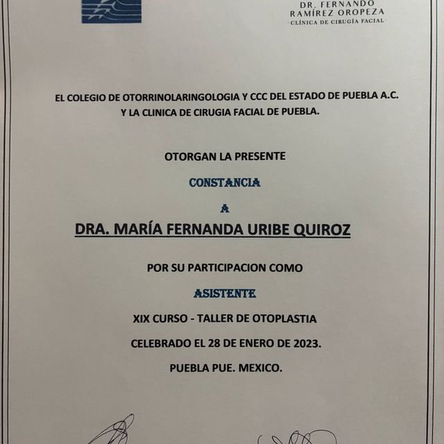 Ampliar imagen: certificate 1