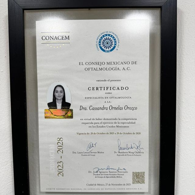 Ampliar imagen: certificate 1