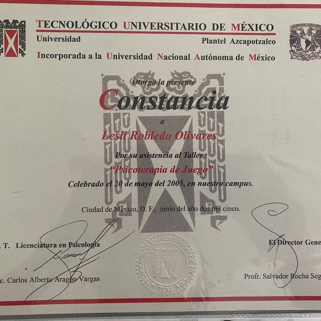 Ampliar imagen: certificate 20