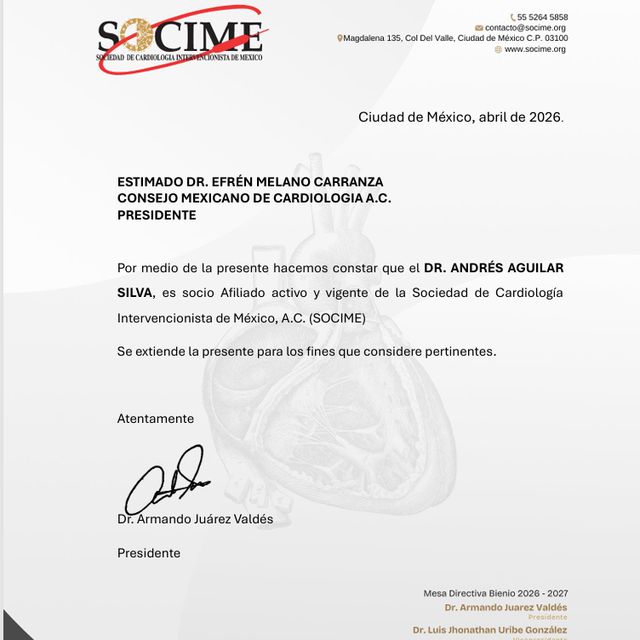 Ampliar imagen: certificate 11