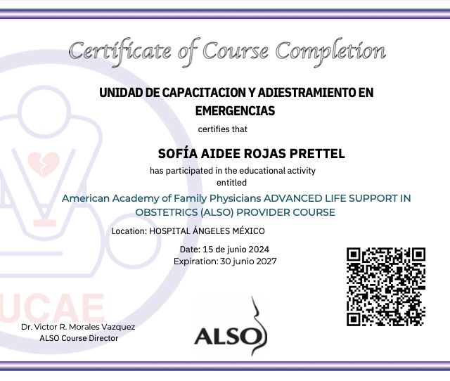 Ampliar imagen: certificate 2