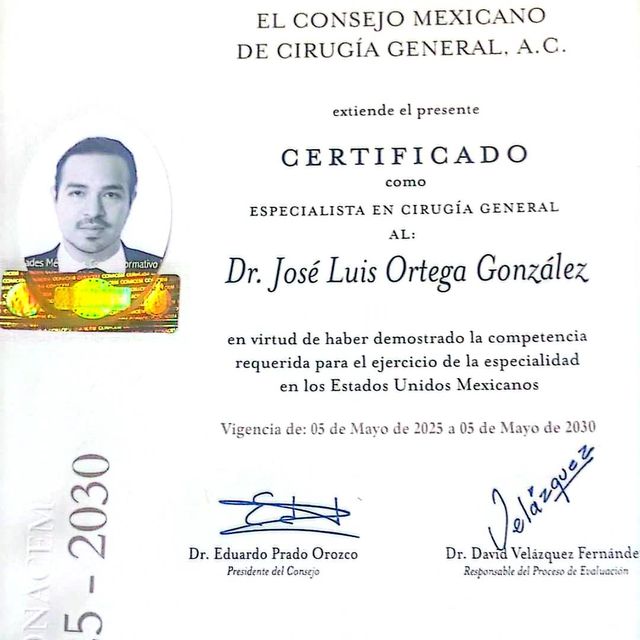 Ampliar imagen: certificate 1