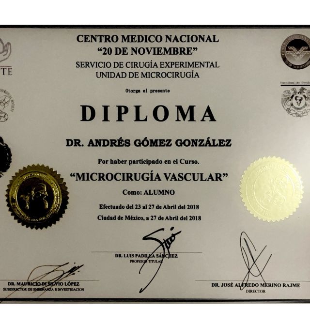 Ampliar imagen: certificate 2