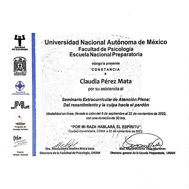 Ampliar imagen: certificate 5