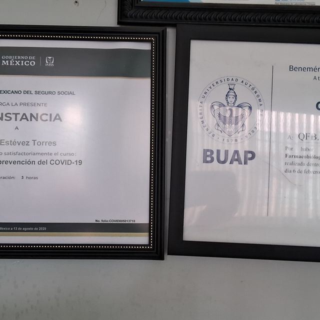 Ampliar imagen: certificate 4