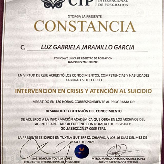 Ampliar imagen: certificate 3