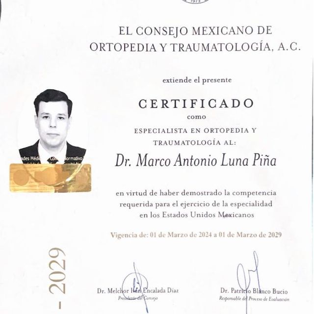 Ampliar imagen: certificate 1