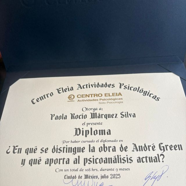Ampliar imagen: certificate 5