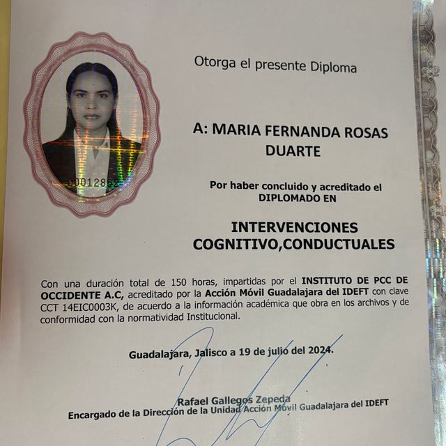 Ampliar imagen: certificate 4
