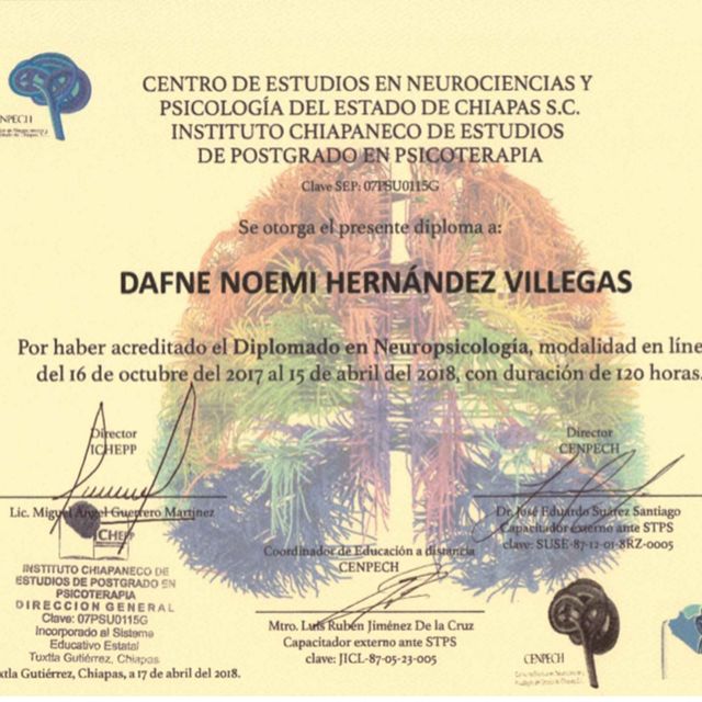 Ampliar imagen: certificate 4