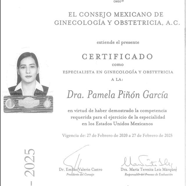 Ampliar imagen: certificate 2