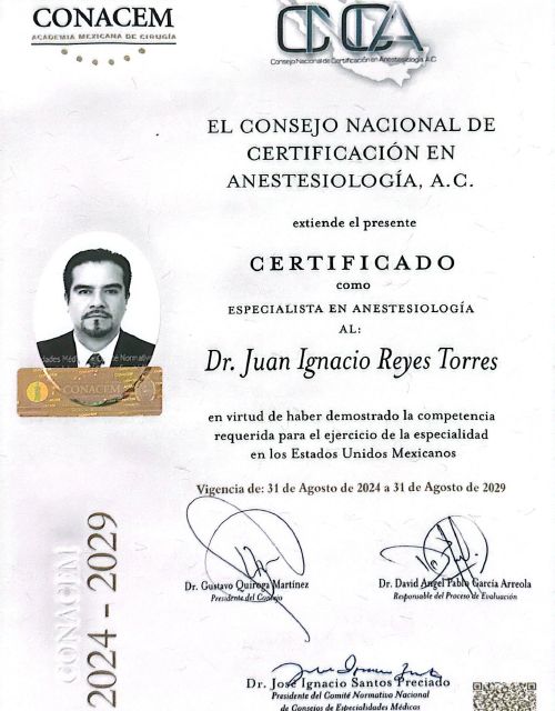 Ampliar imagen: certificate 1