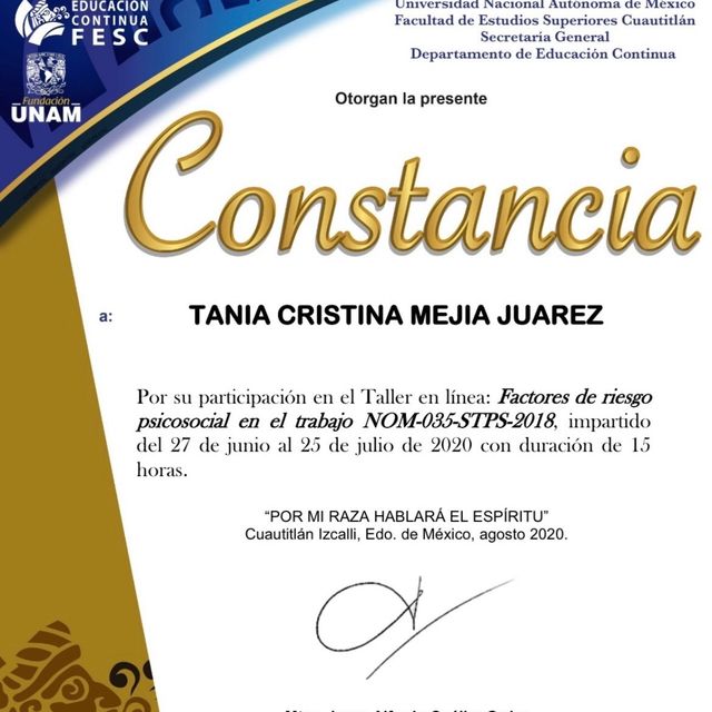 Ampliar imagen: certificate 10