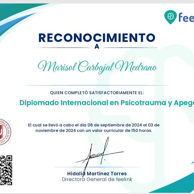 Ampliar imagen: certificate 6