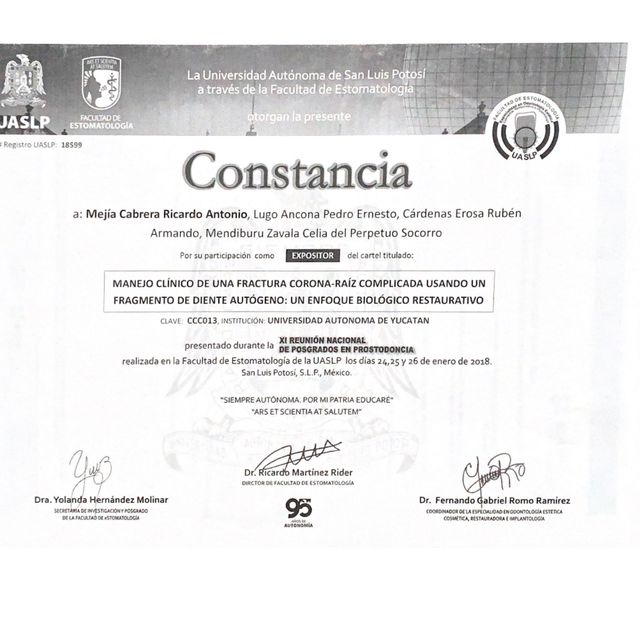 Ampliar imagen: certificate 8